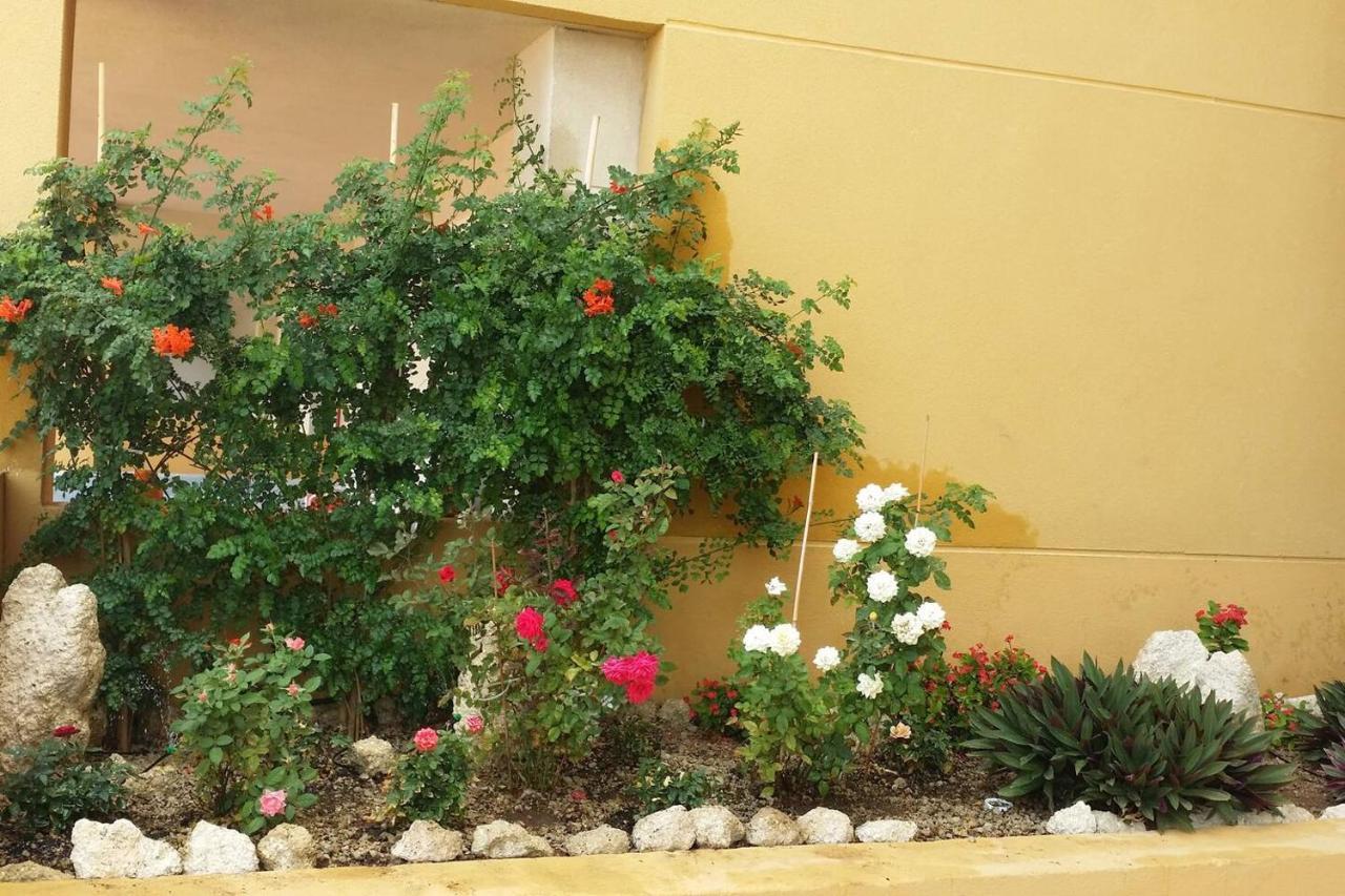 431 - Edif Aguamarina - Vacation Rental Home In The Coast Line Of Golf Del Sur San Miguel de Abona Exterior photo